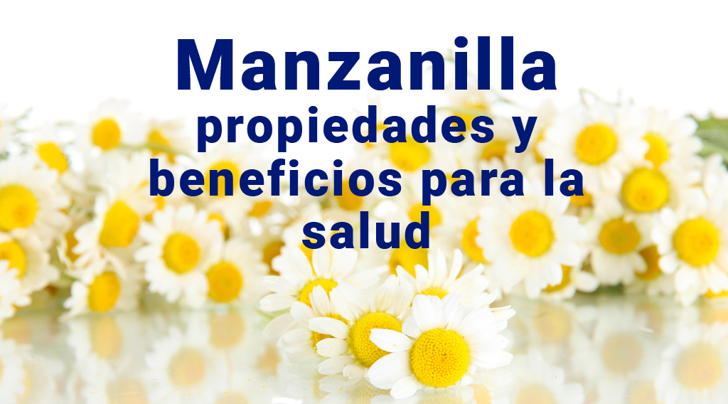 Manzanilla: que es, para qué sirve, propiedades y beneficios para la salud