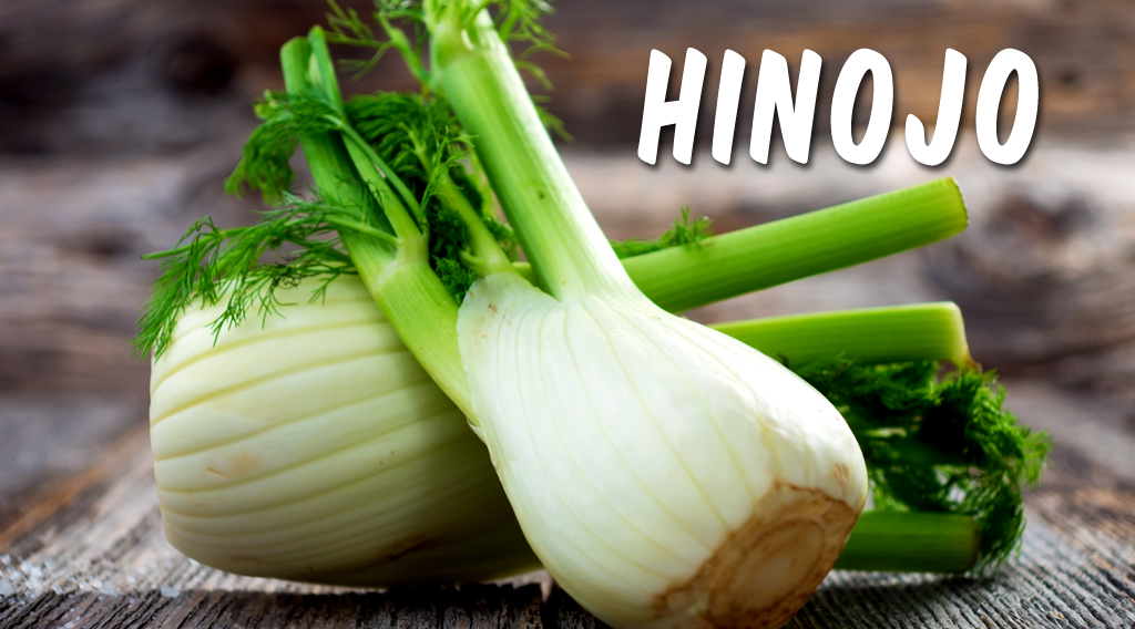 ¿Qué es el Hinojo? Beneficios, propiedades y contraindicaciones